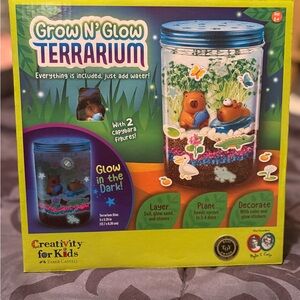 Grow N' Glow Terrarium Kit